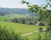 Tannzapfenland