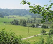 Tannzapfenland (Foto: Regula Wendel, Wiezikon) Tannzapfenland (Foto: Regula Wendel, Wiezikon)